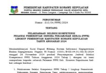 PENGUMUMAN PELAKSANAAN SELEKSI KOMPETENSI PPPK TAHAP 1 TA : 2024 KABUPATEN KONAWE KEPULAUAN