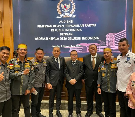 Suara dari Sultra Menggema di Senayan, Dorong Percepatan PP Desa dan Keberpihakan Dana Desa